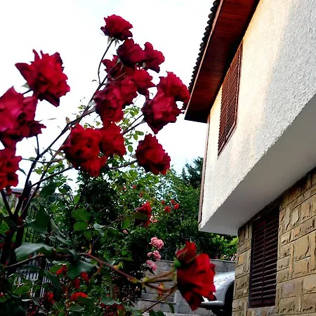 Holiday home Estate Sveti Vlas