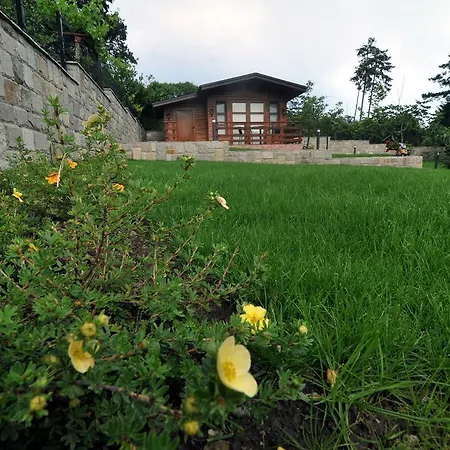 Estate Sveti Vlas